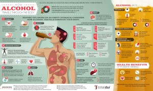 how-alcohol-travels-through-the-body_50ca3deb65aab_w1038